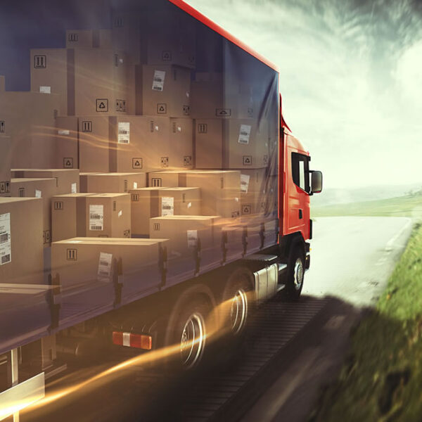 camion4